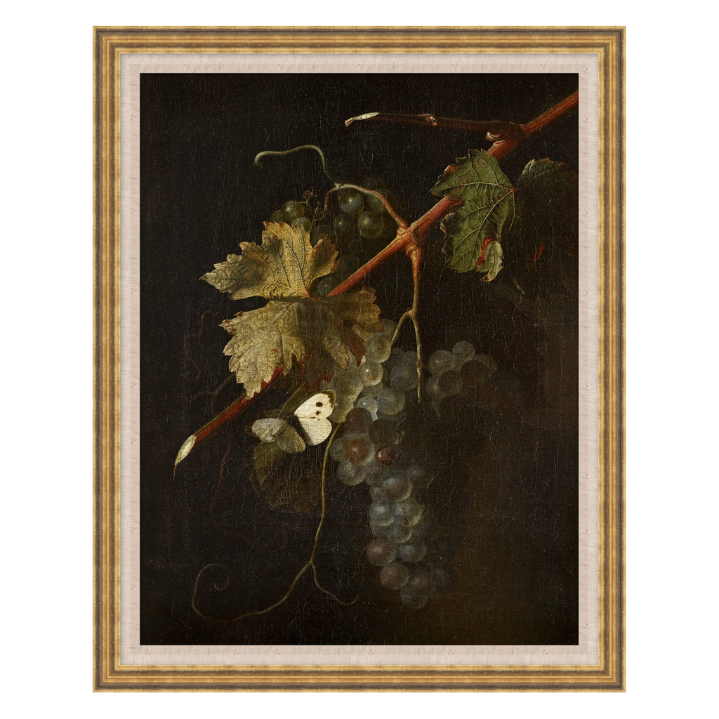 Framed artwork of grapes and leaves on a dark background
