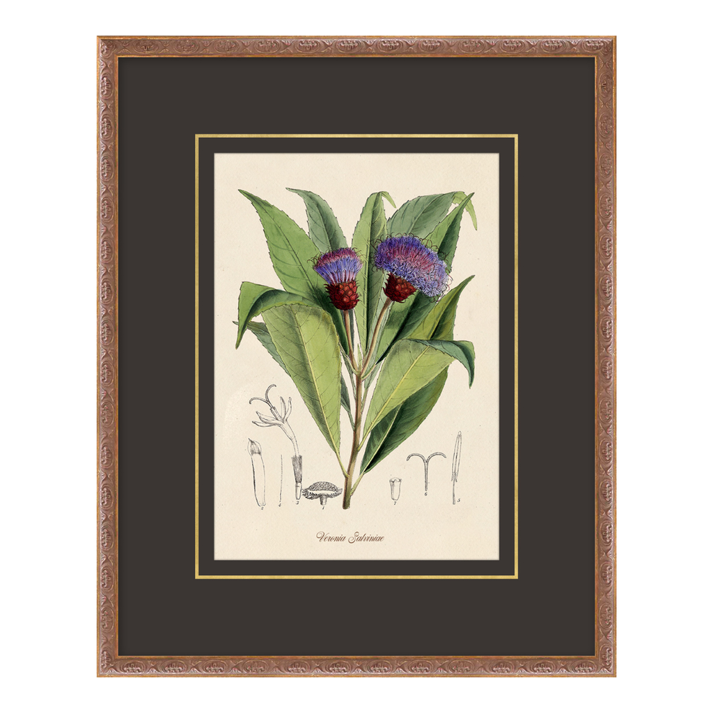 Figures of Flora 2