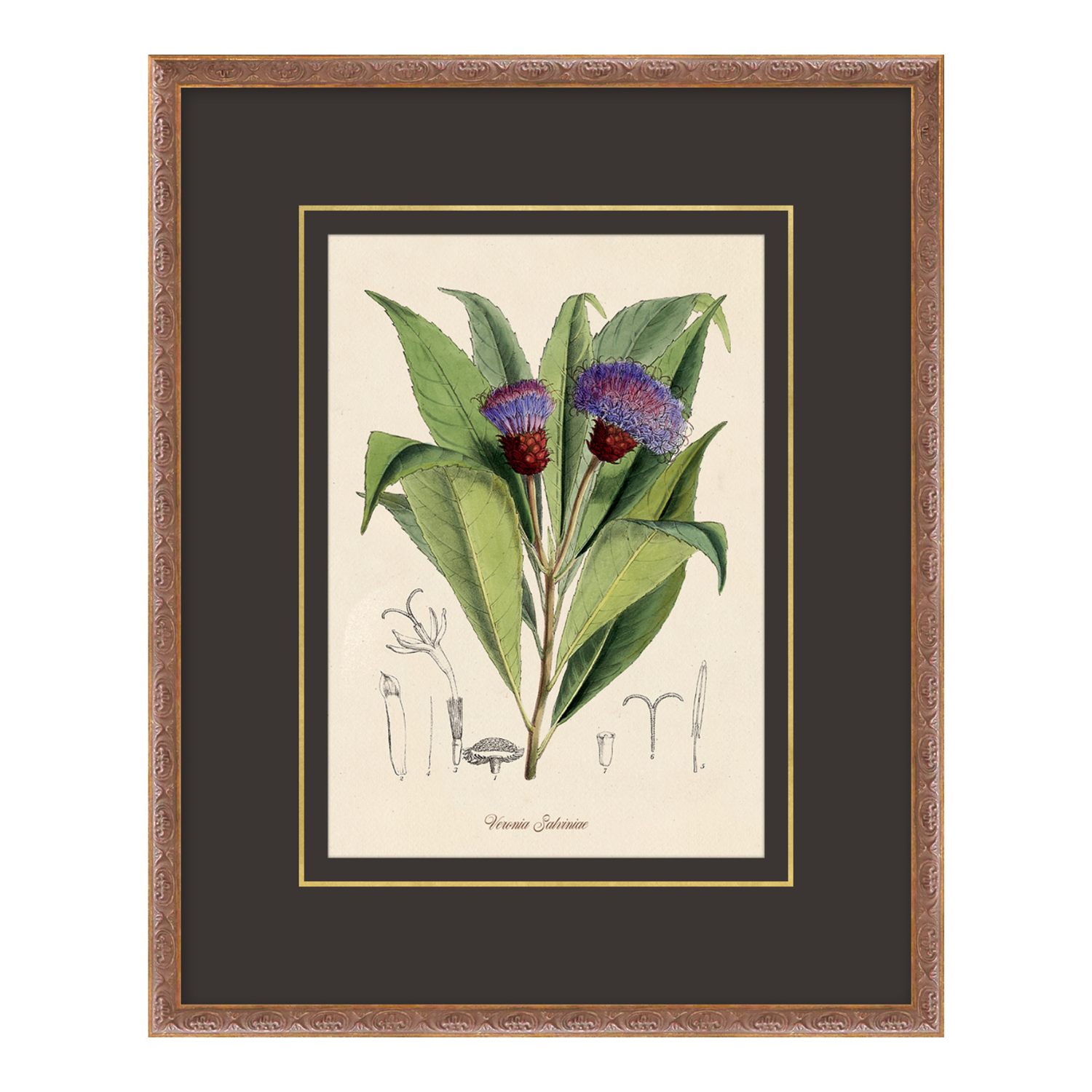 Figures of Flora 2