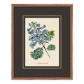 Figures of Flora 4