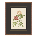 Figures of Flora 5