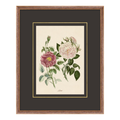 Figures of Flora 6