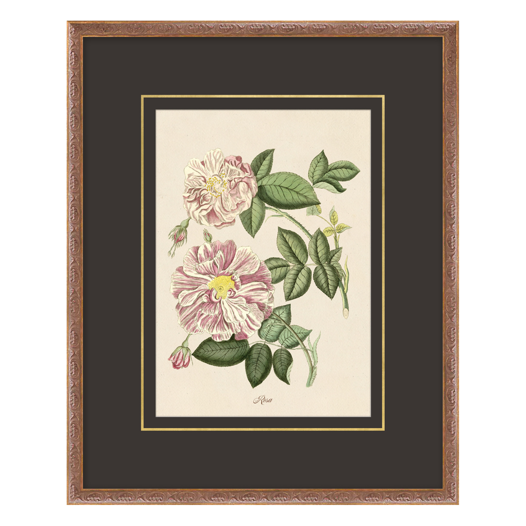 Framed botanical illustration of flowers and leaves on a beige background