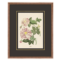 Figures of Flora 7