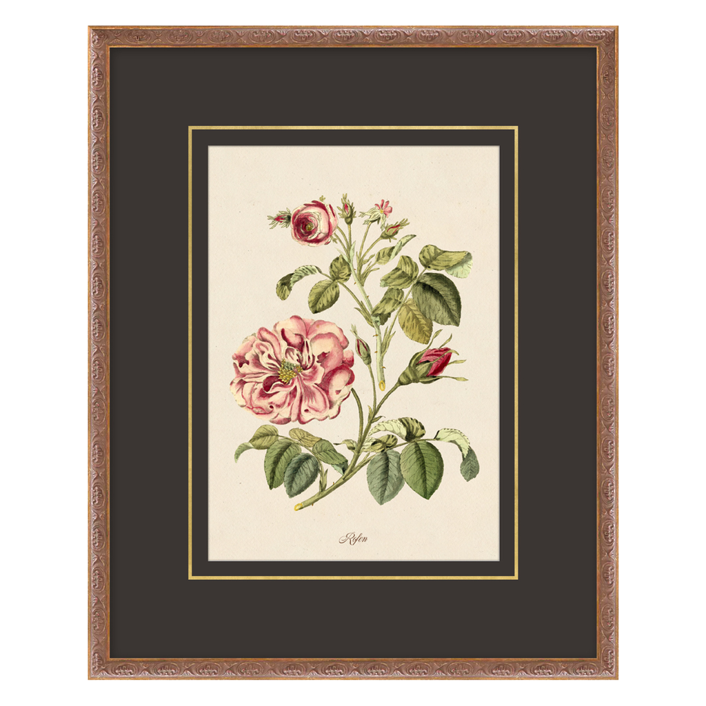 Figures of Flora 8