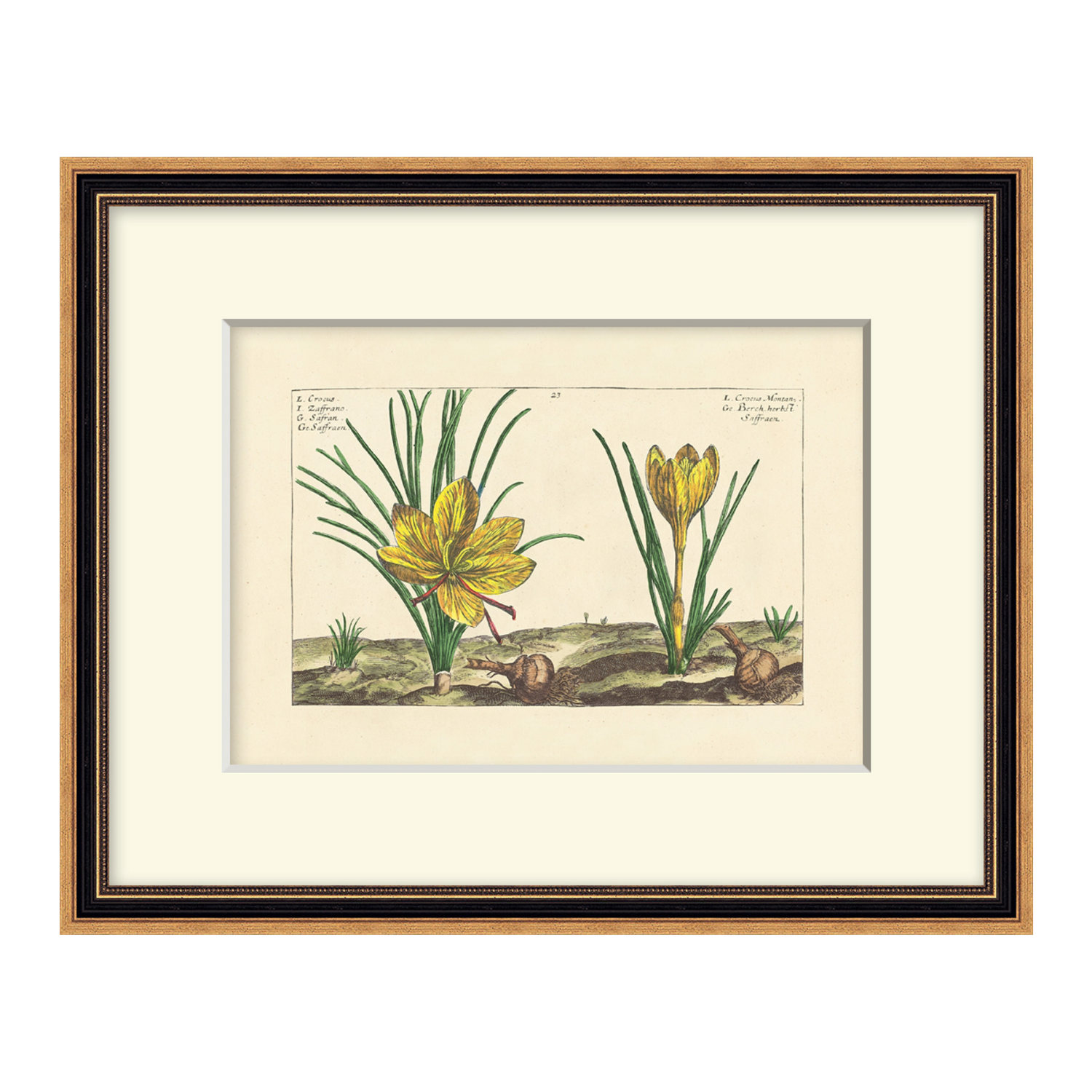 Heritage Blooms 1