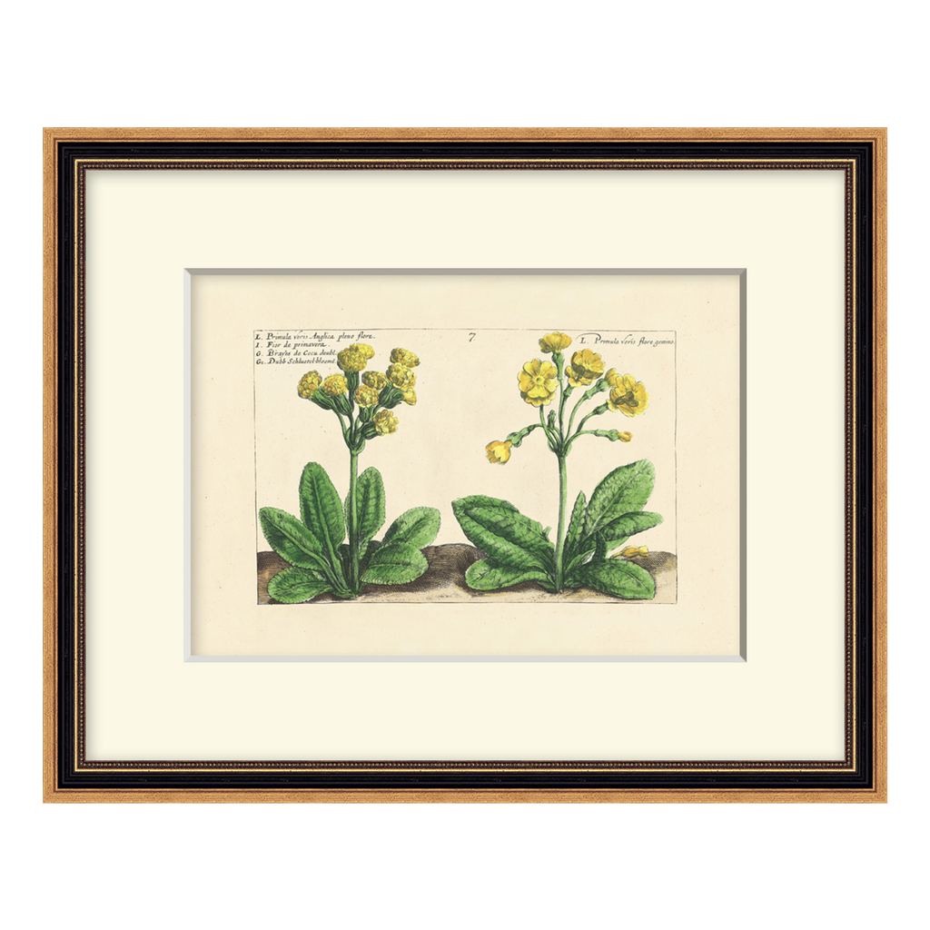 Framed botanical illustration of yellow flowers and green leaves on a beige background