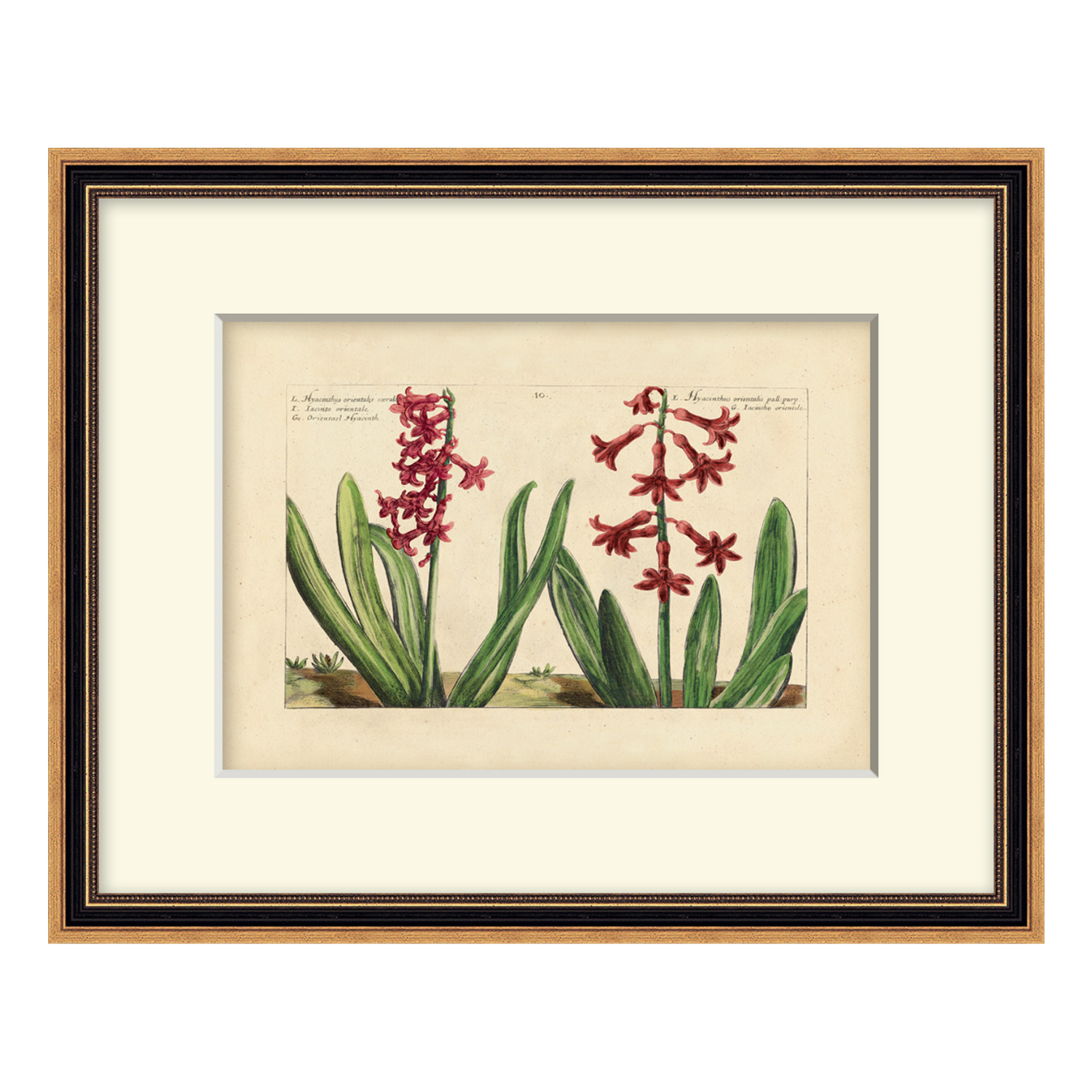 Heritage Blooms 3