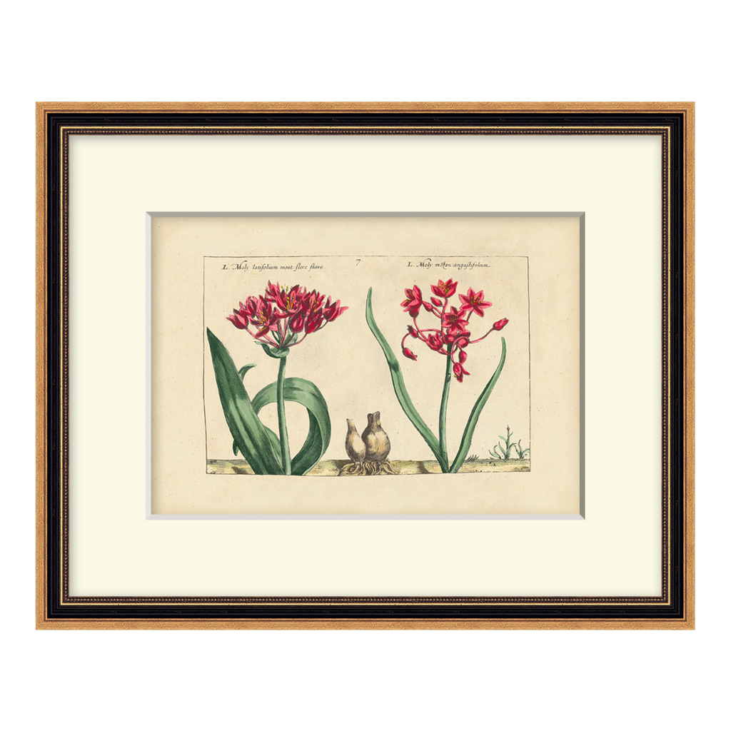 Framed botanical illustration of red flowers with green leaves on a beige background