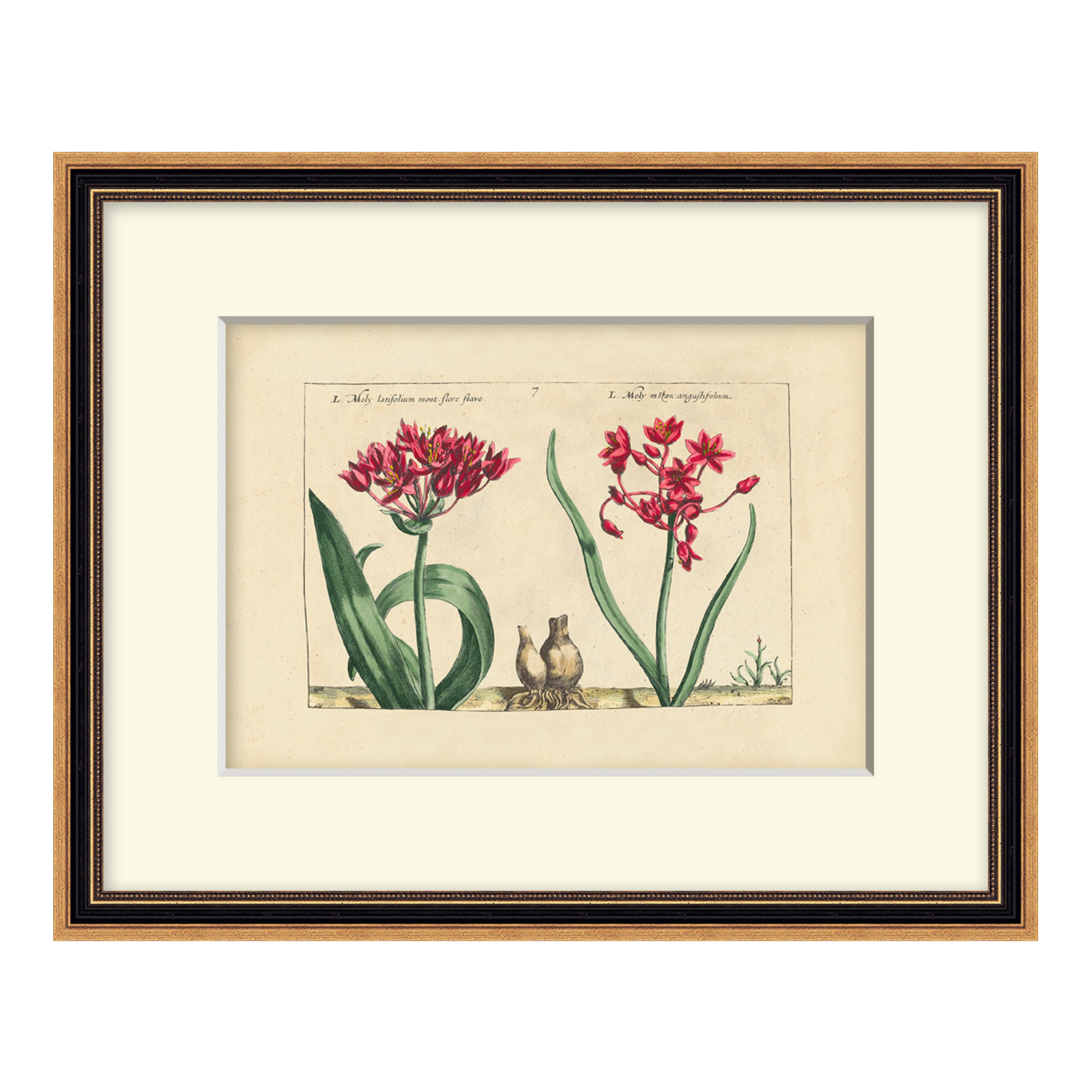 Heritage Blooms 4