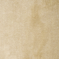 Champagne Velvet Fabric Sample