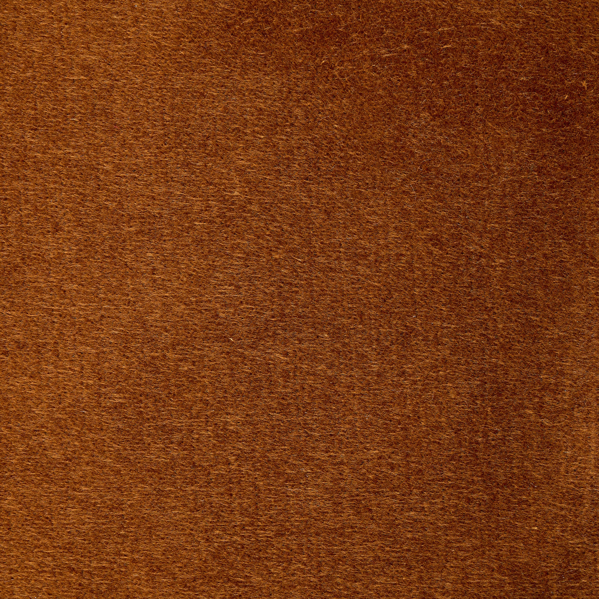Evelyn Parlour Sofa
