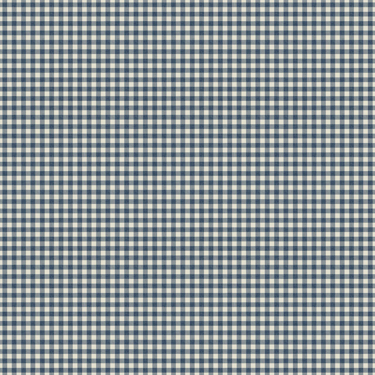 Mini Gingham Denim Fabric Sample