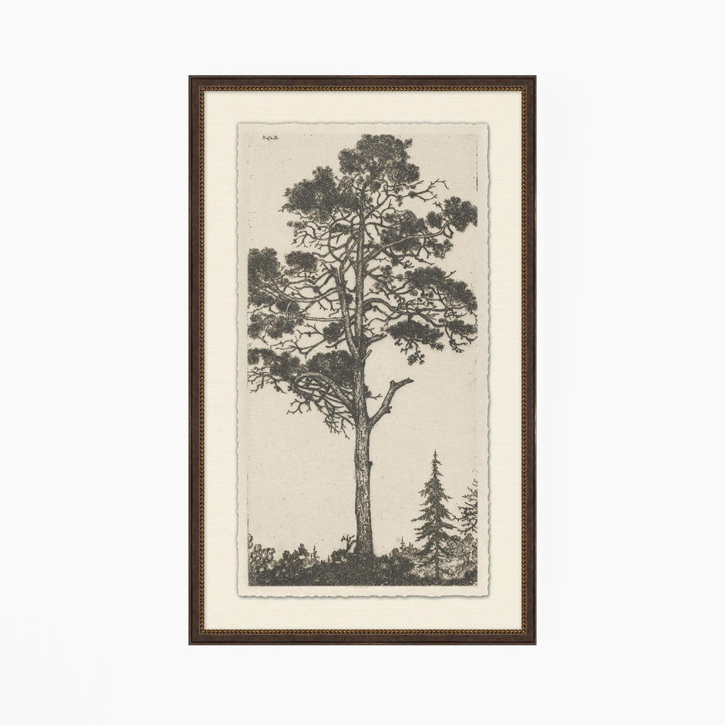 Tree Tops 1