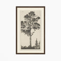 Tree Tops 1