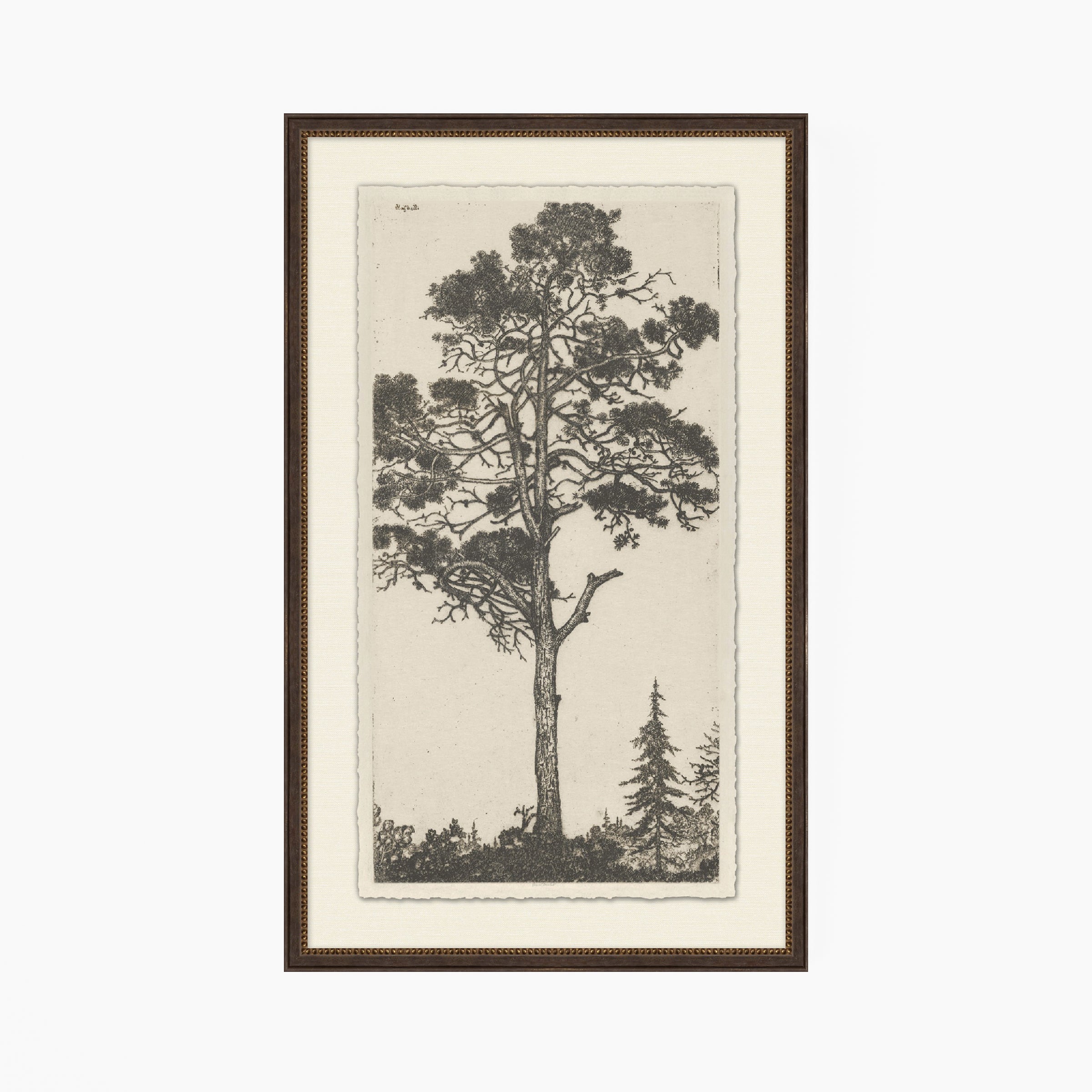 Tree Tops 1