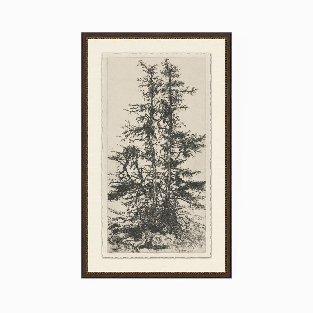 Tree Tops 3