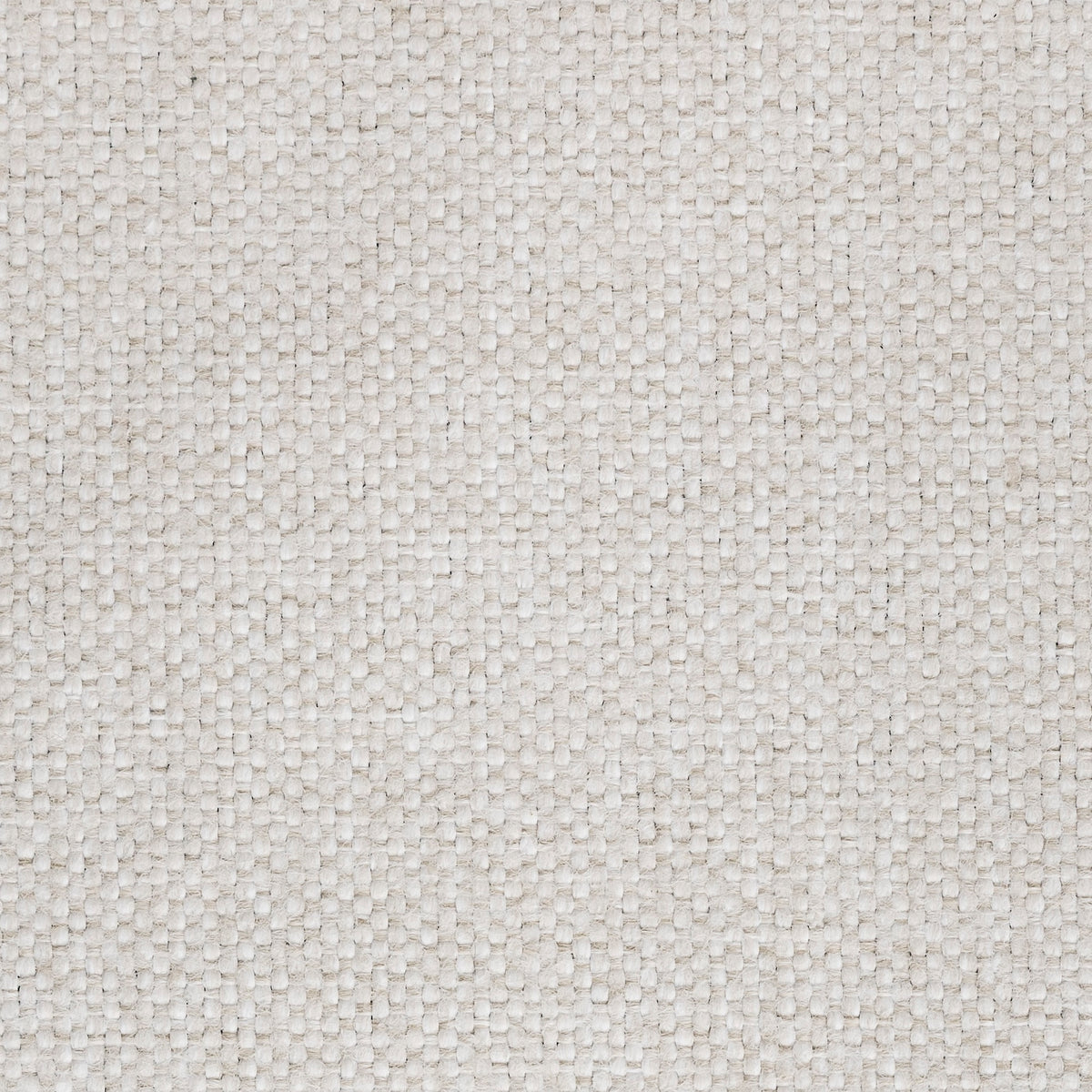 Woven Pearl Fabric Sample