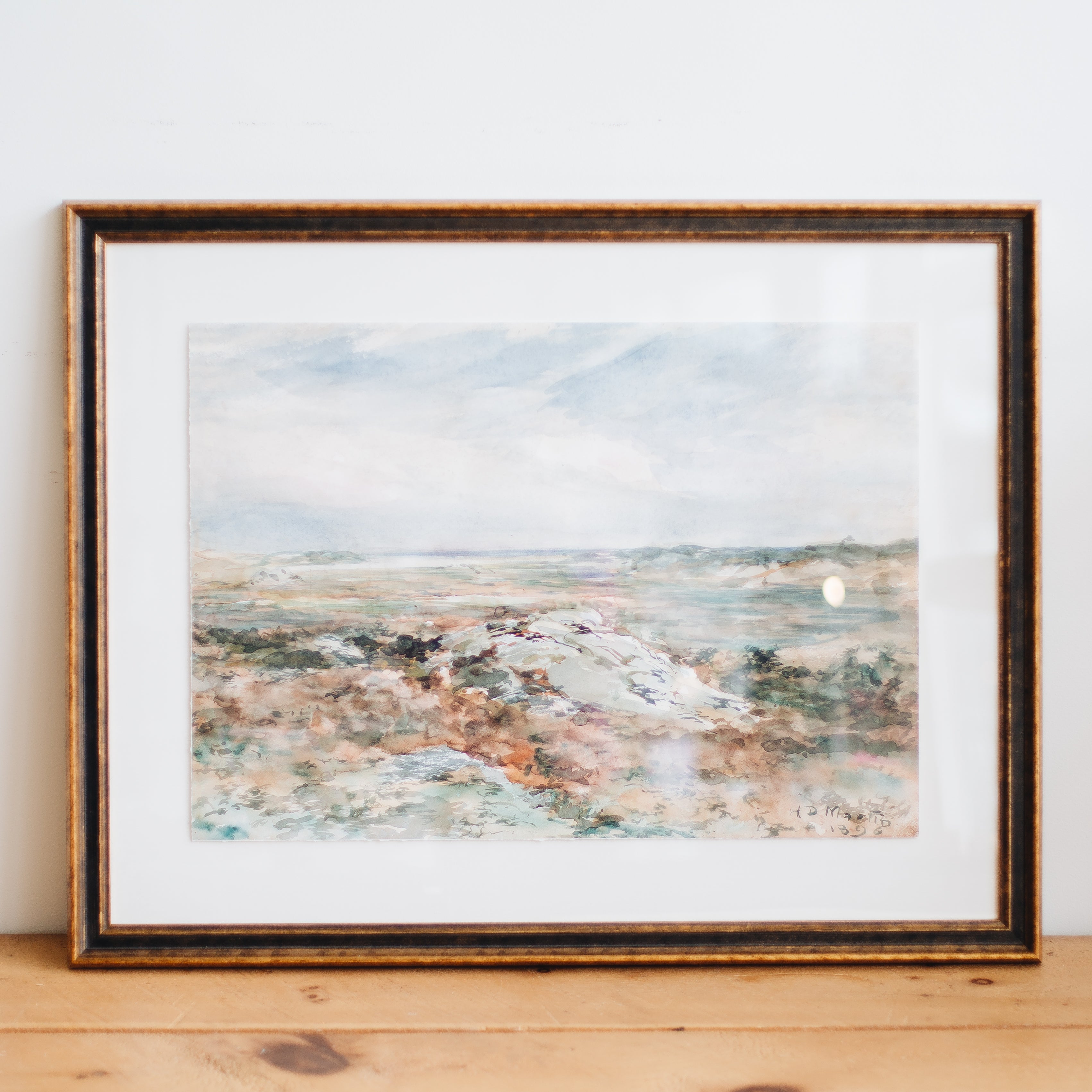 Transitional Study 8