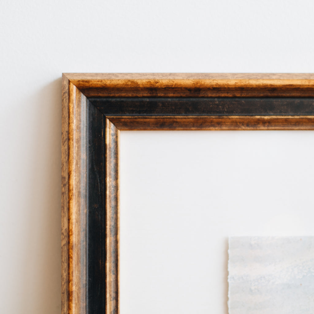 Transitional Study 8