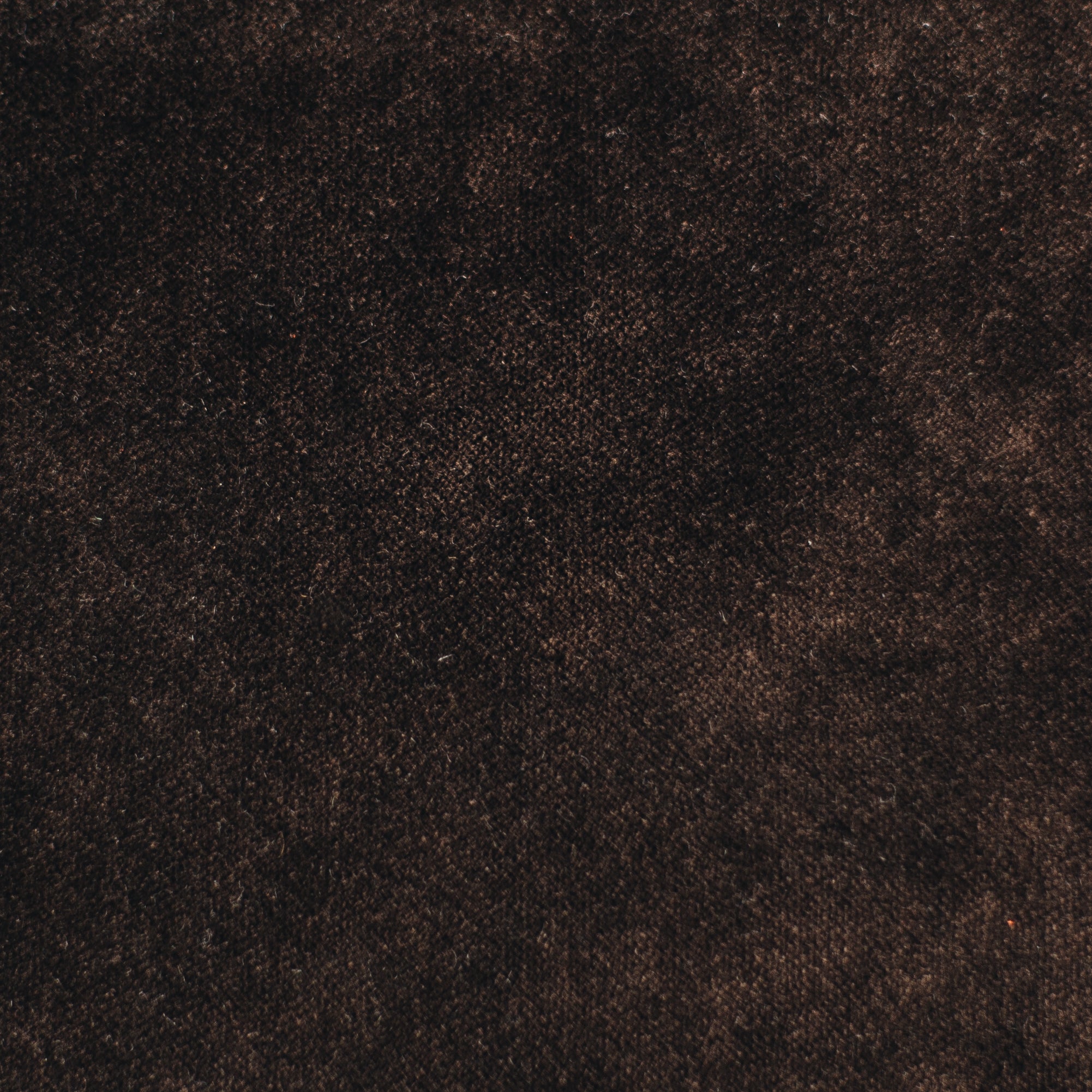 Umber Velvet Fabric Swatch
