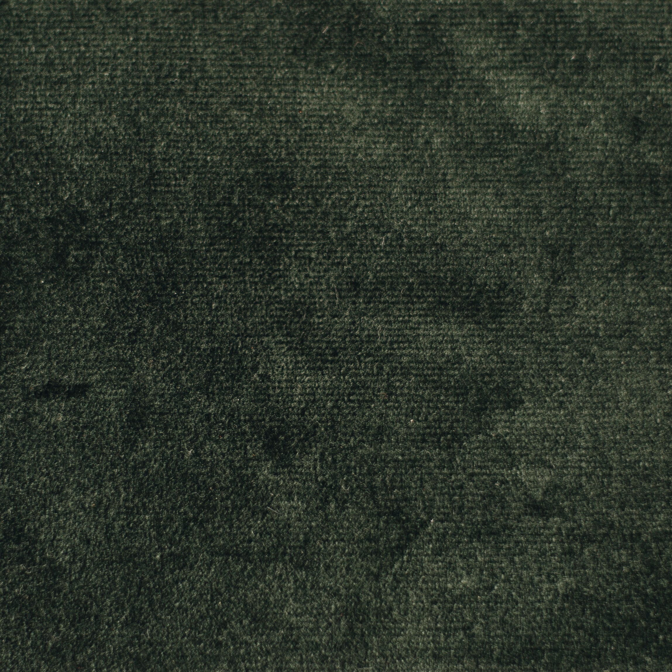 Evergreen Velvet Fabric Swatch