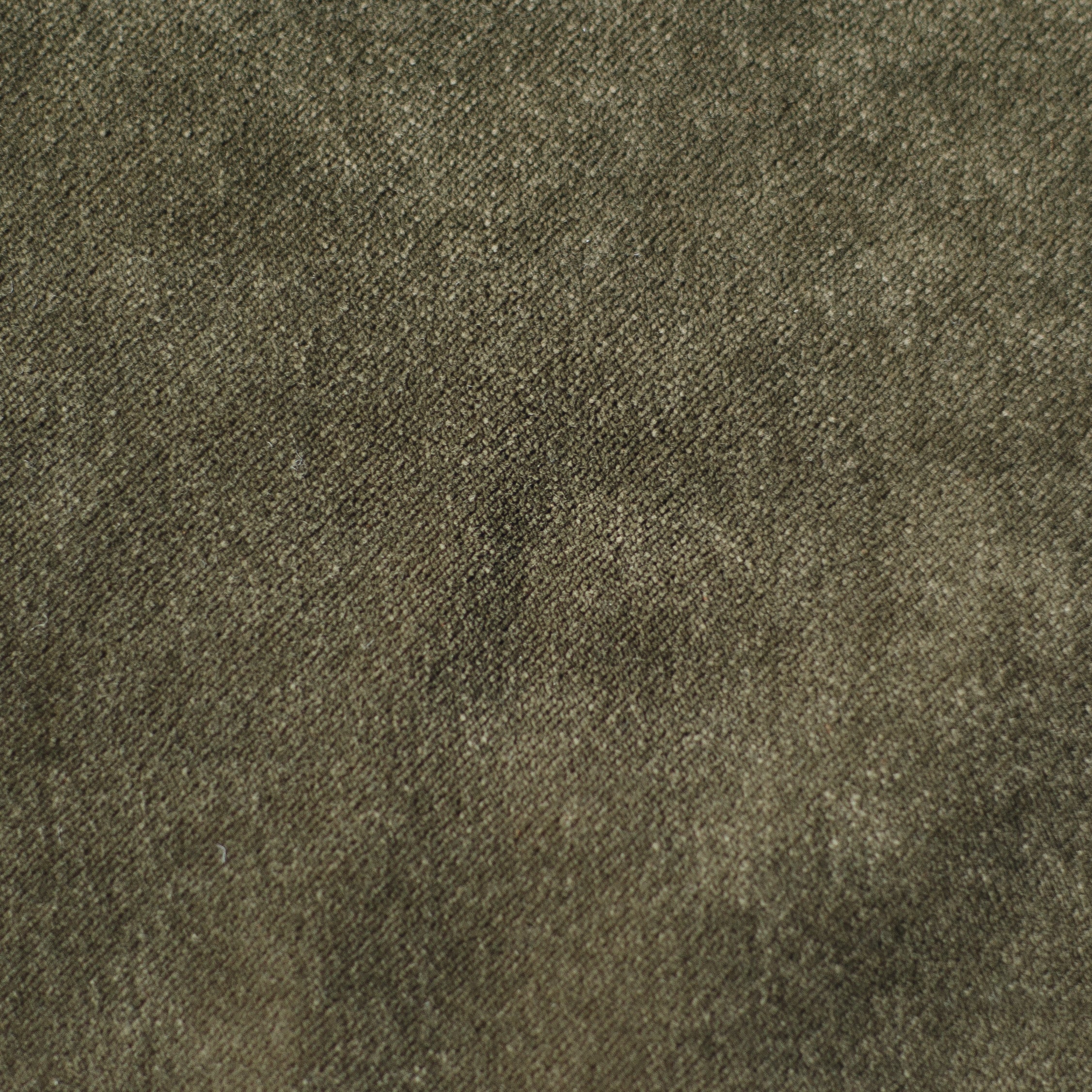 Olive Velvet Fabric Swatch