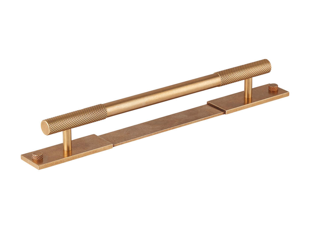 Mix Pull Handle with Backplate
