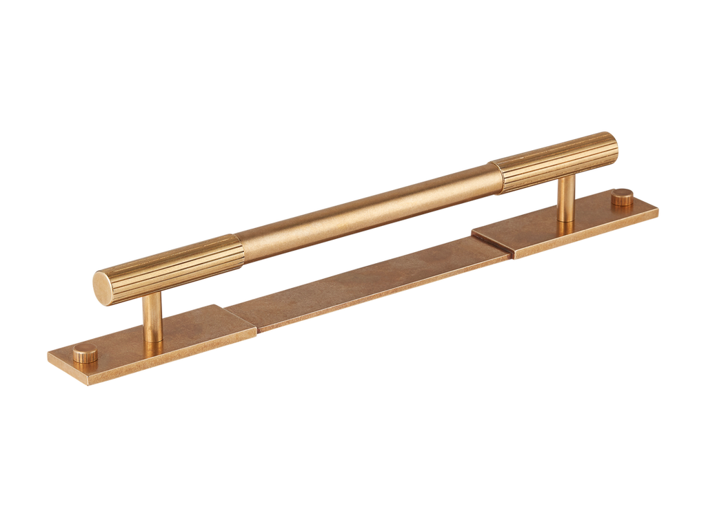 Mix Pull Handle with Backplate