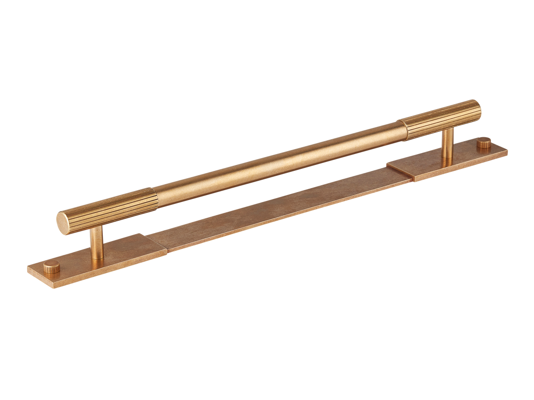 Mix Pull Handle with Backplate