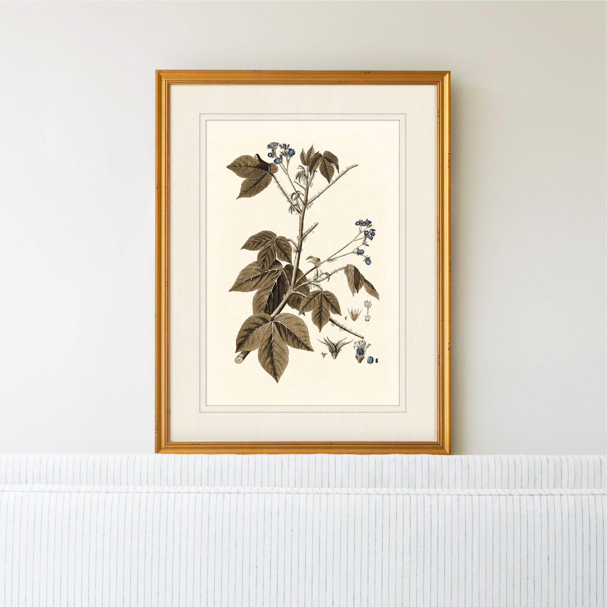 Botany Study 3