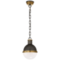 Hicks Small Globe Pendant