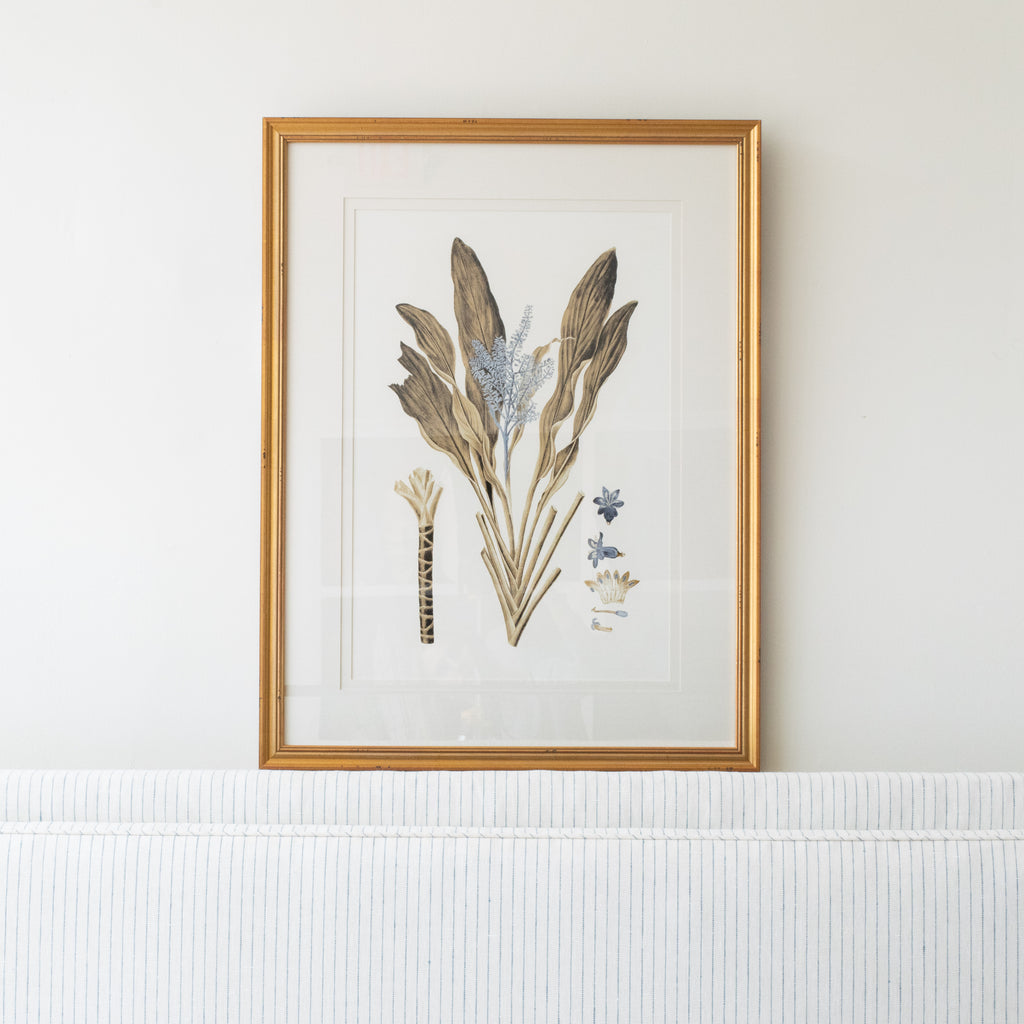 Botany Study 6