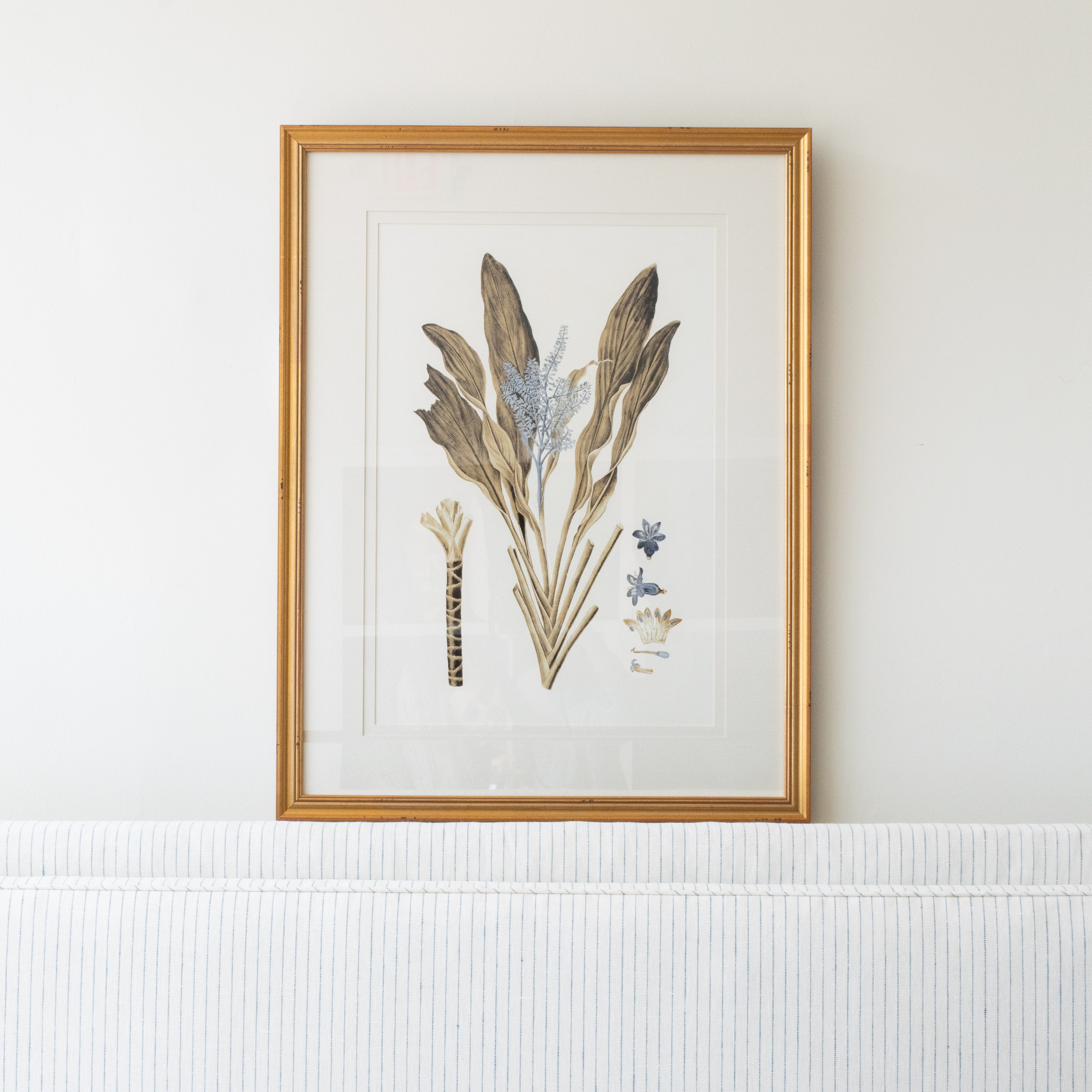 Botany Study 6