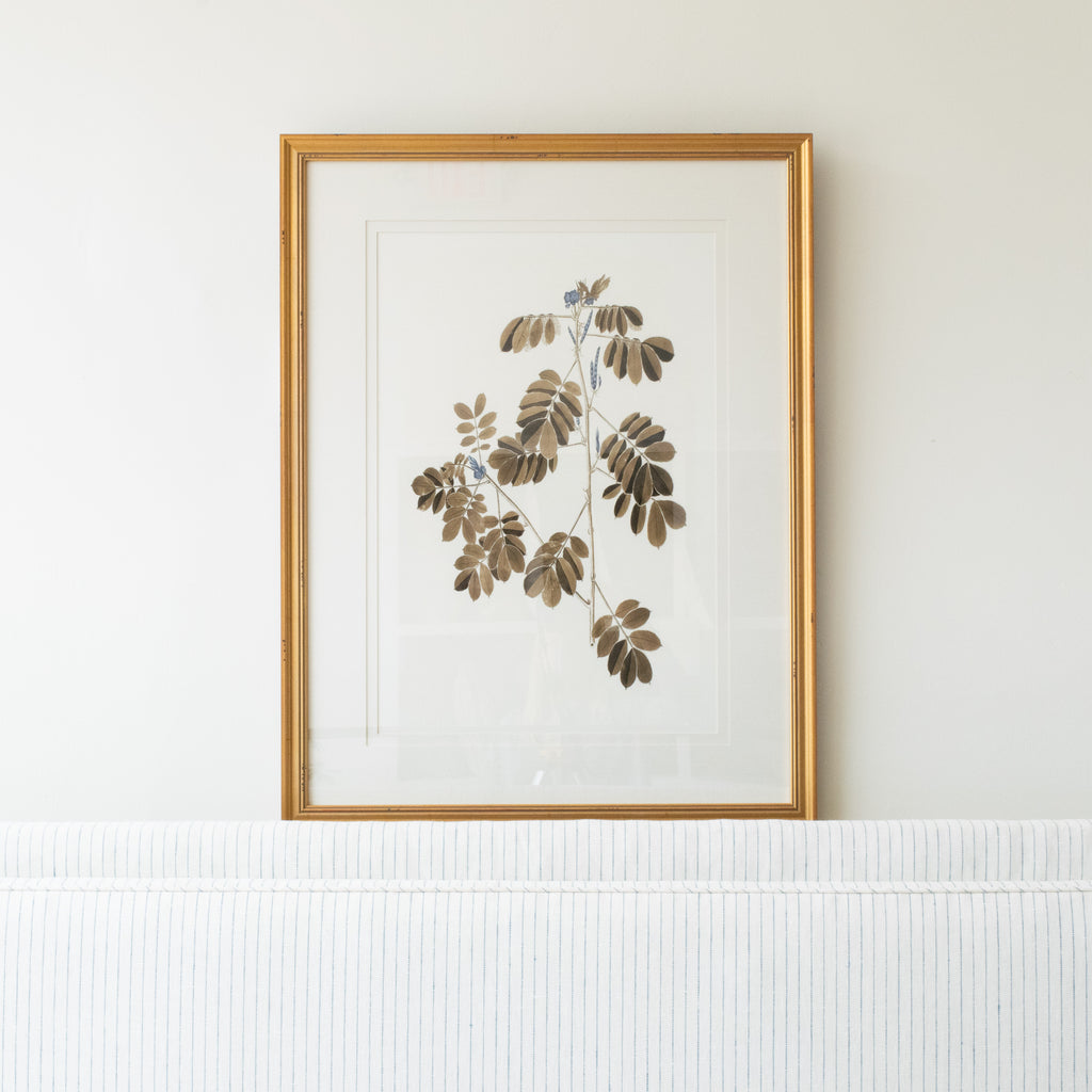 Botany Study 4