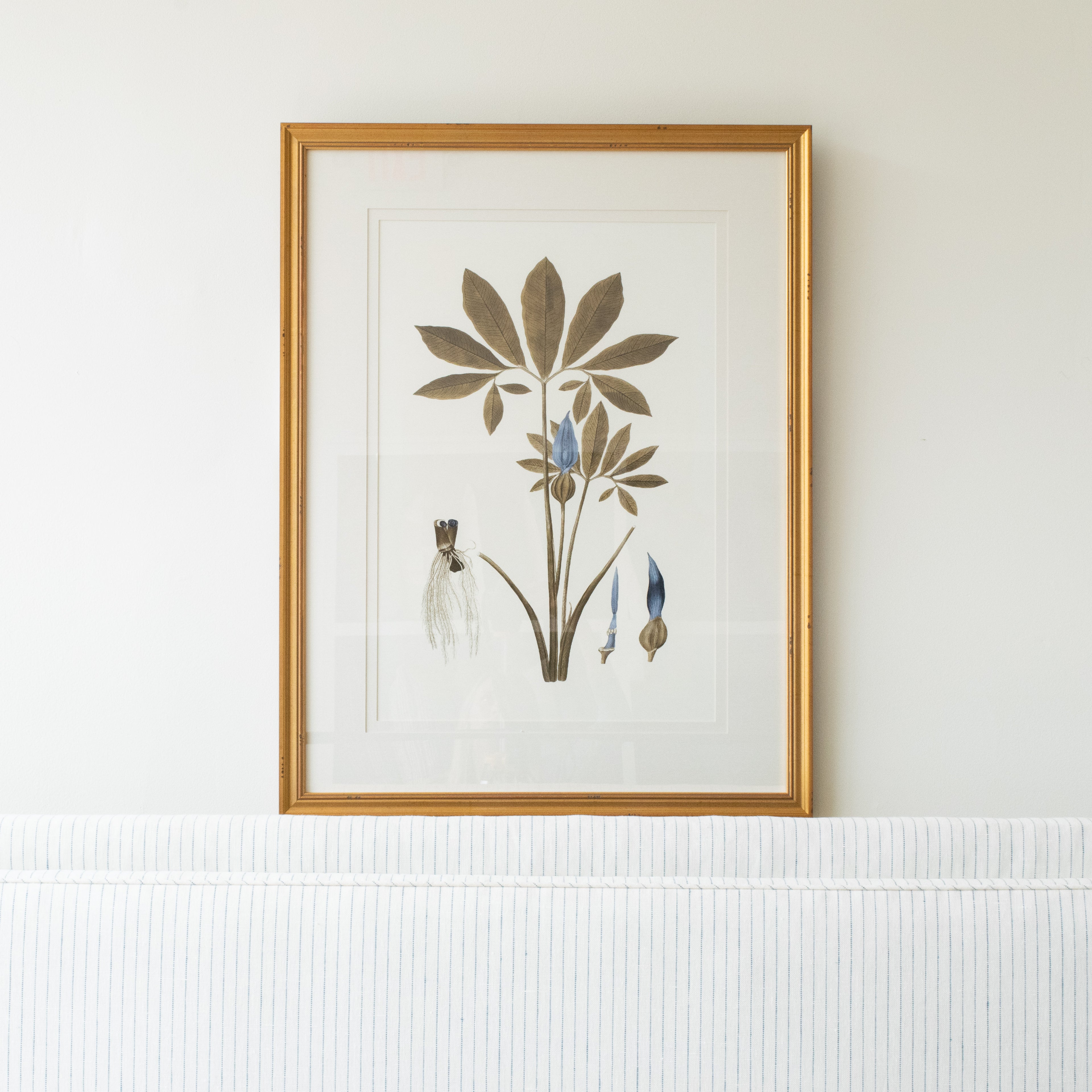 Botany Study 1