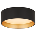Shaw Flush Mount