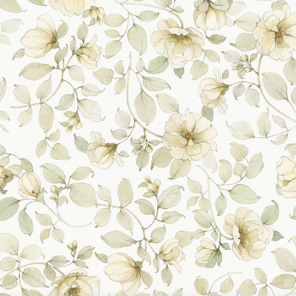 Wild White Rose Wallpaper