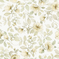 Wild White Rose Wallpaper
