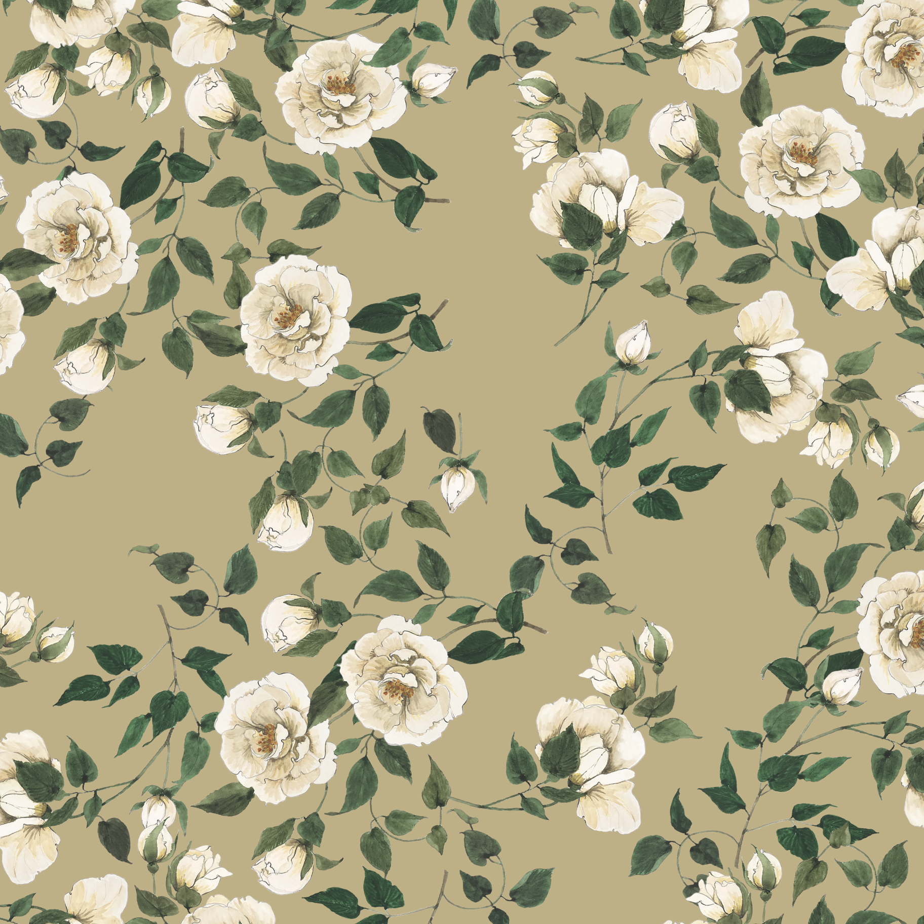 Climbing Rose Wallpaper