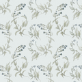 Forget Me Not Wallpaper