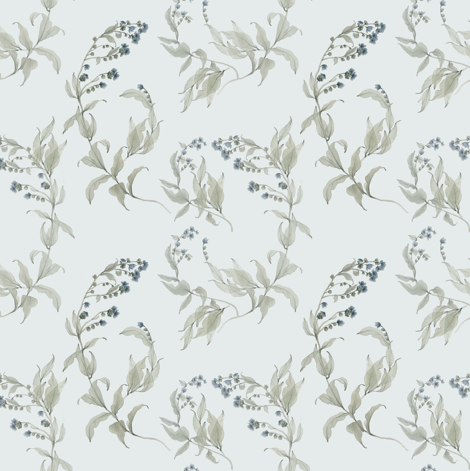 Forget Me Not Wallpaper