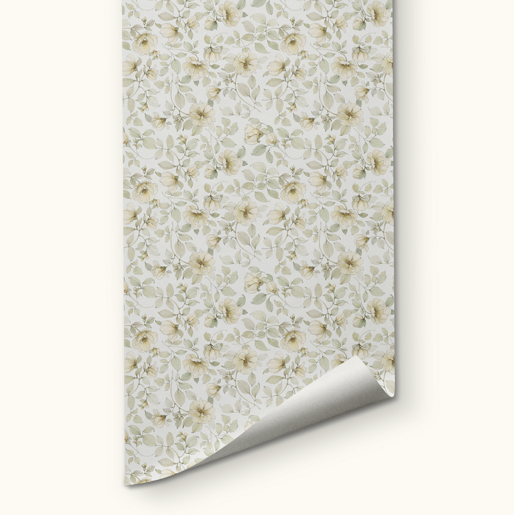 Wild White Rose Wallpaper