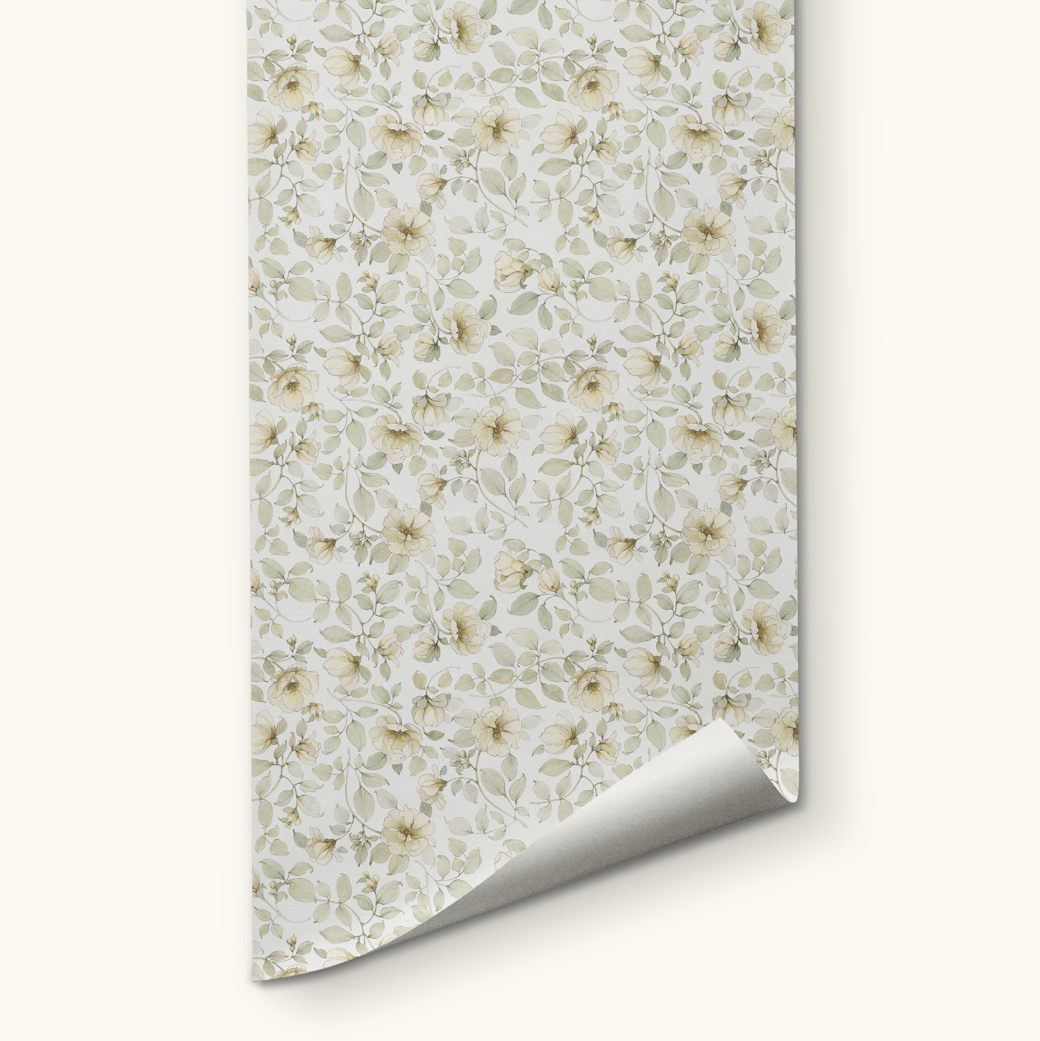 Wild White Rose Wallpaper