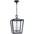 Darlana Small Hanging Lantern